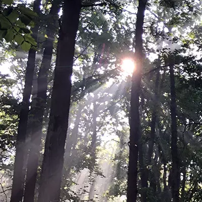 Lever de soleil à Clerlande